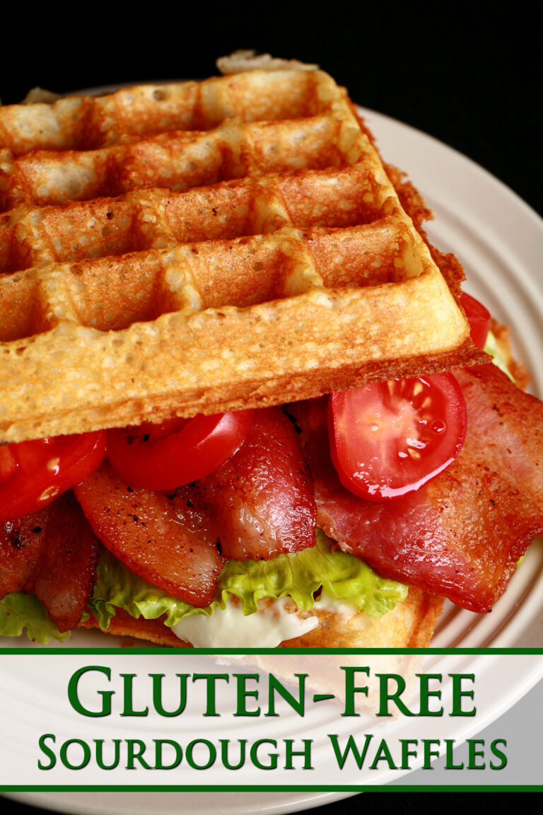 GlutenFree Sourdough Waffles Beyond Flour