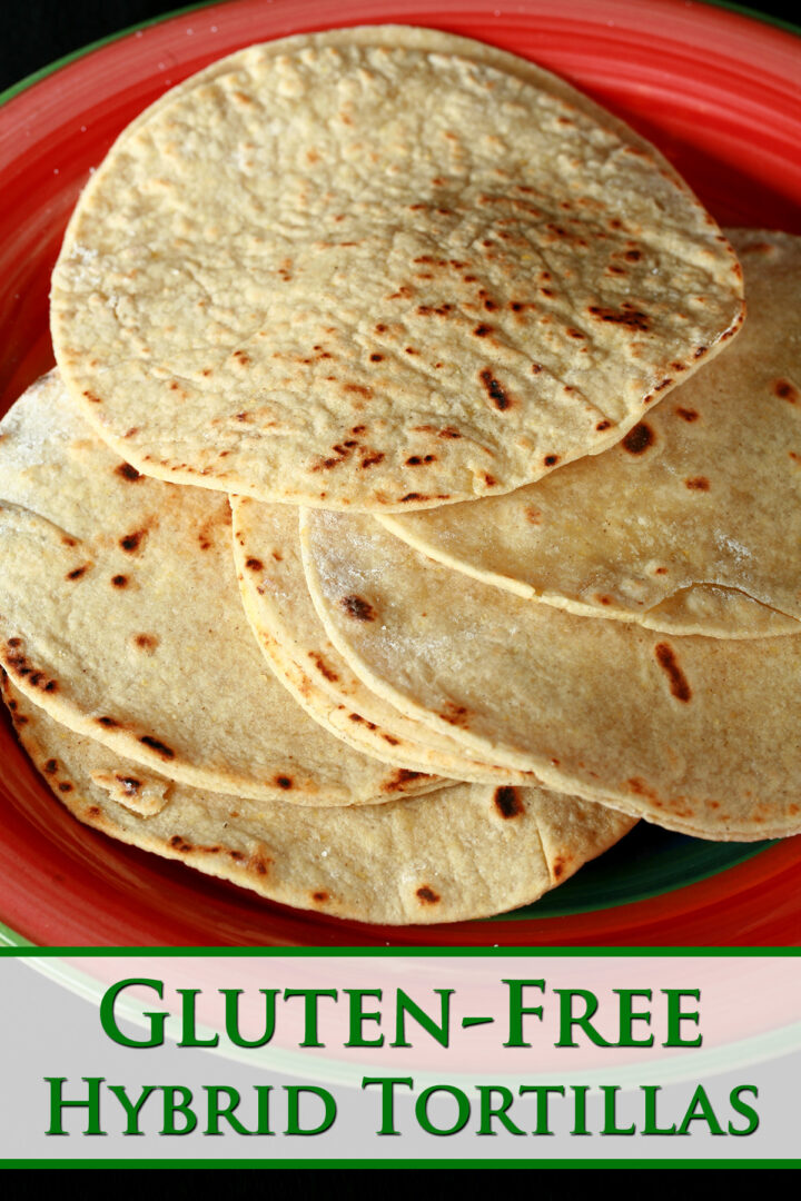 GlutenFree Hybrid Tortillas Beyond Flour