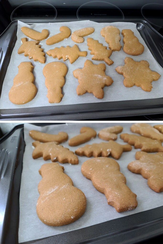 Gluten Free Gingerbread Cookies Recipe - Beyond Flour