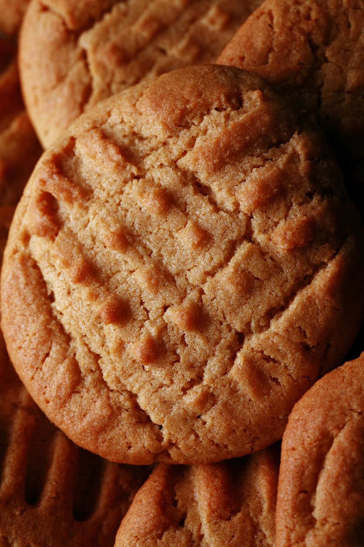 A plate of soft and chewy gluten free peanut butter cookies.