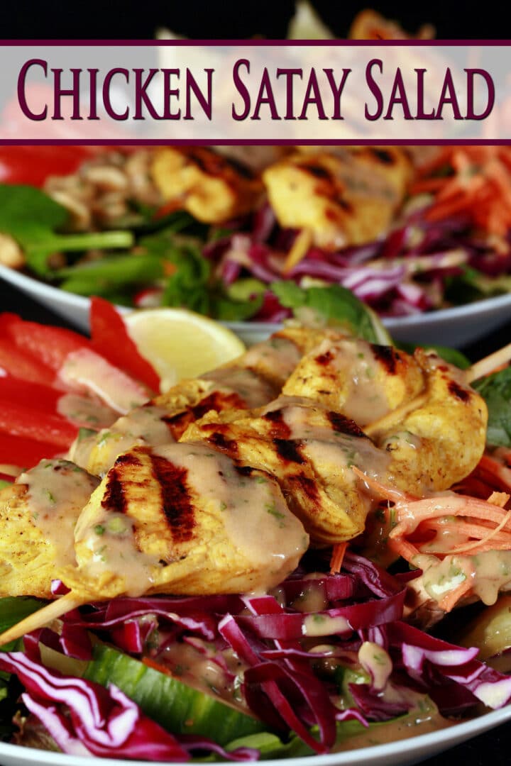 Chicken Satay Salad Recipe [with Peanut Dressing] Beyond Flour