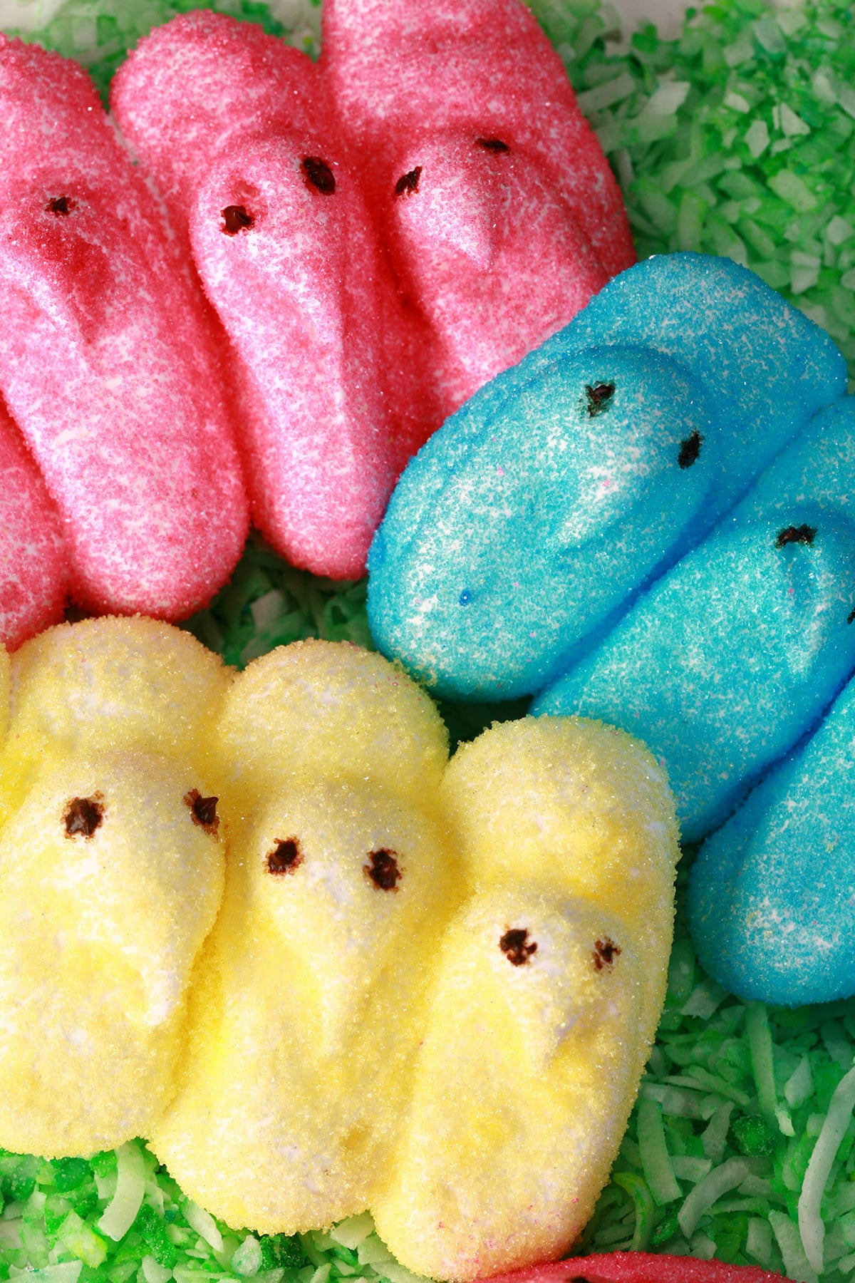 Pink, yellow, and blue chick shaped homemade peeps on a bed of green coconut.