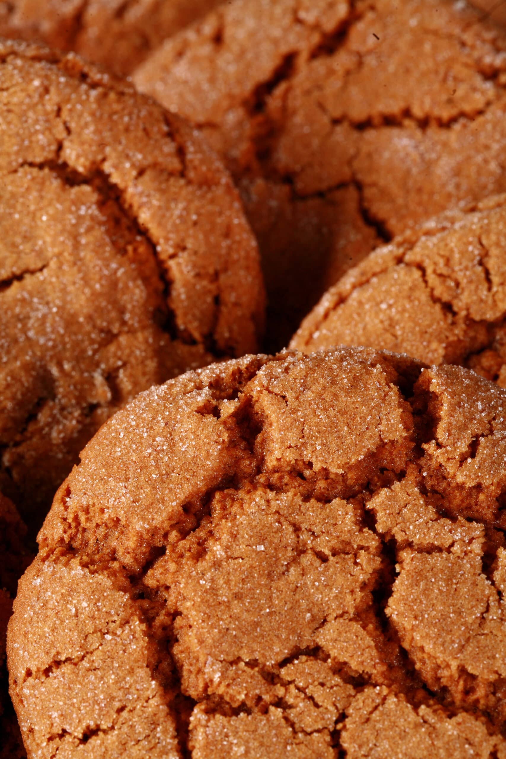 A plate of gluten-free ginger molasses cookies.