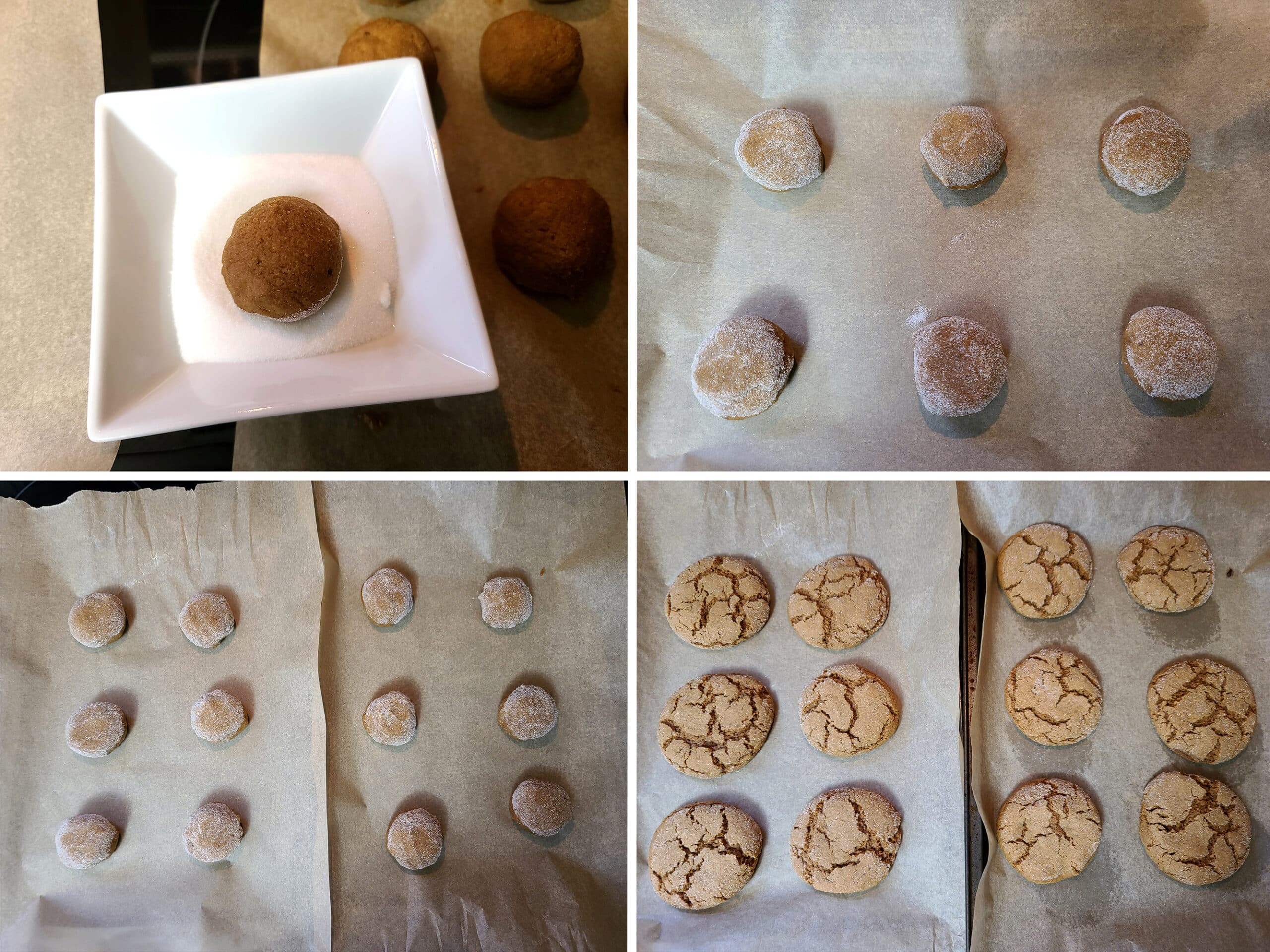 2 part image showing a dough ball being dipped in sugar and placed on pans with other sugar coated cookie dough balls.