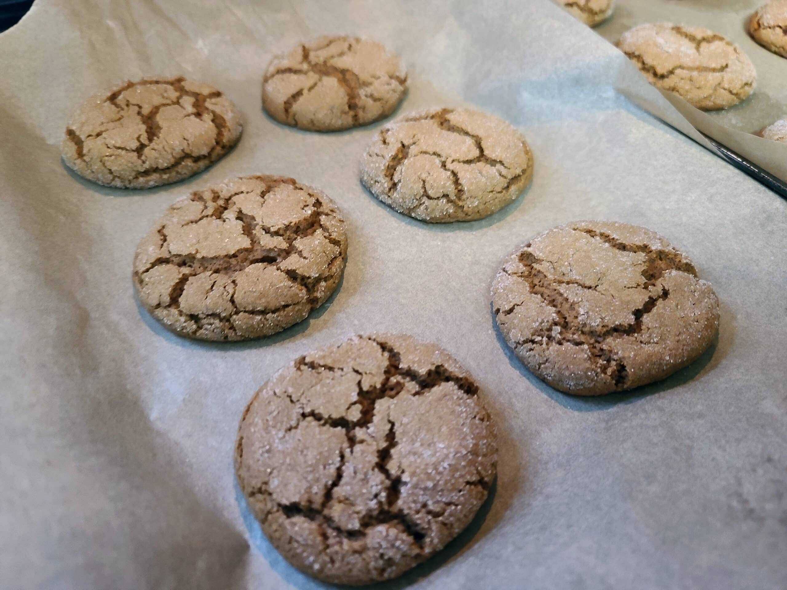 A pan of 6 freshly baked gluten-free ginger molasses cookies.