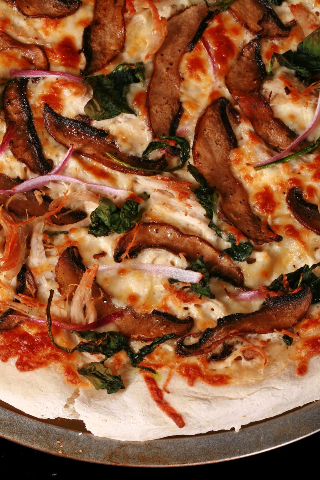 Homemade Gluten Free Pizza Crust Mix Recipe - Beyond Flour